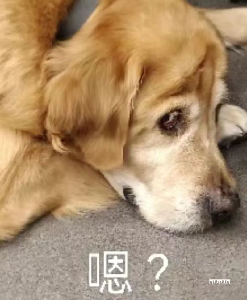 为了挽回用户流派，微软终于不强制你更新Windows了